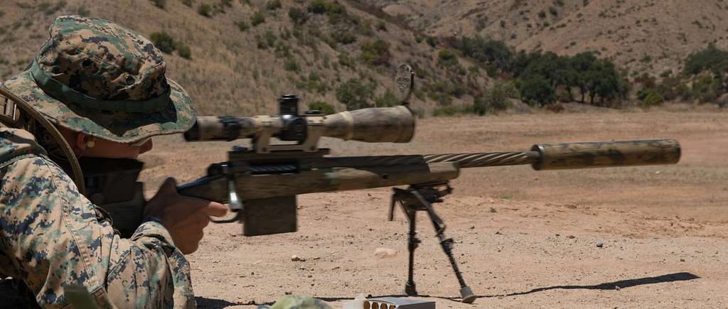 C14 Timberwolf Technical Specifications and Dimensions