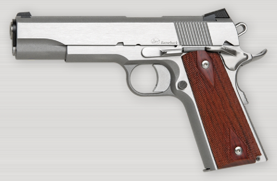 Dan Wesson M1911 ACP pistol image